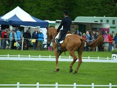 096_Chatsworth_Horse_Trials.jpg