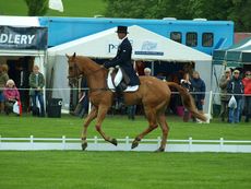 100_Chatsworth_Horse_Trials.jpg