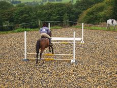 006_CfH_Jumping_Competition_2011.jpg