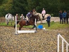 007_CfH_Jumping_Competition_2011.jpg