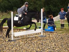 009_CfH_Jumping_Competition_2011.jpg