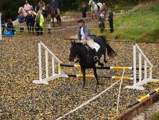 010_CfH_Jumping_Competition_2011.jpg