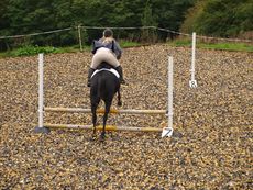 013_CfH_Jumping_Competition_2011.jpg
