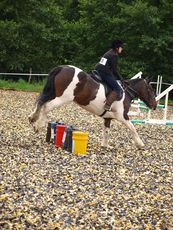 020_CfH_Jumping_Competition_2011.jpg