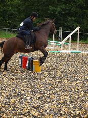 021_CfH_Jumping_Competition_2011.jpg