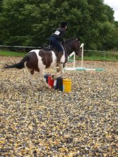 025_CfH_Jumping_Competition_2011.jpg
